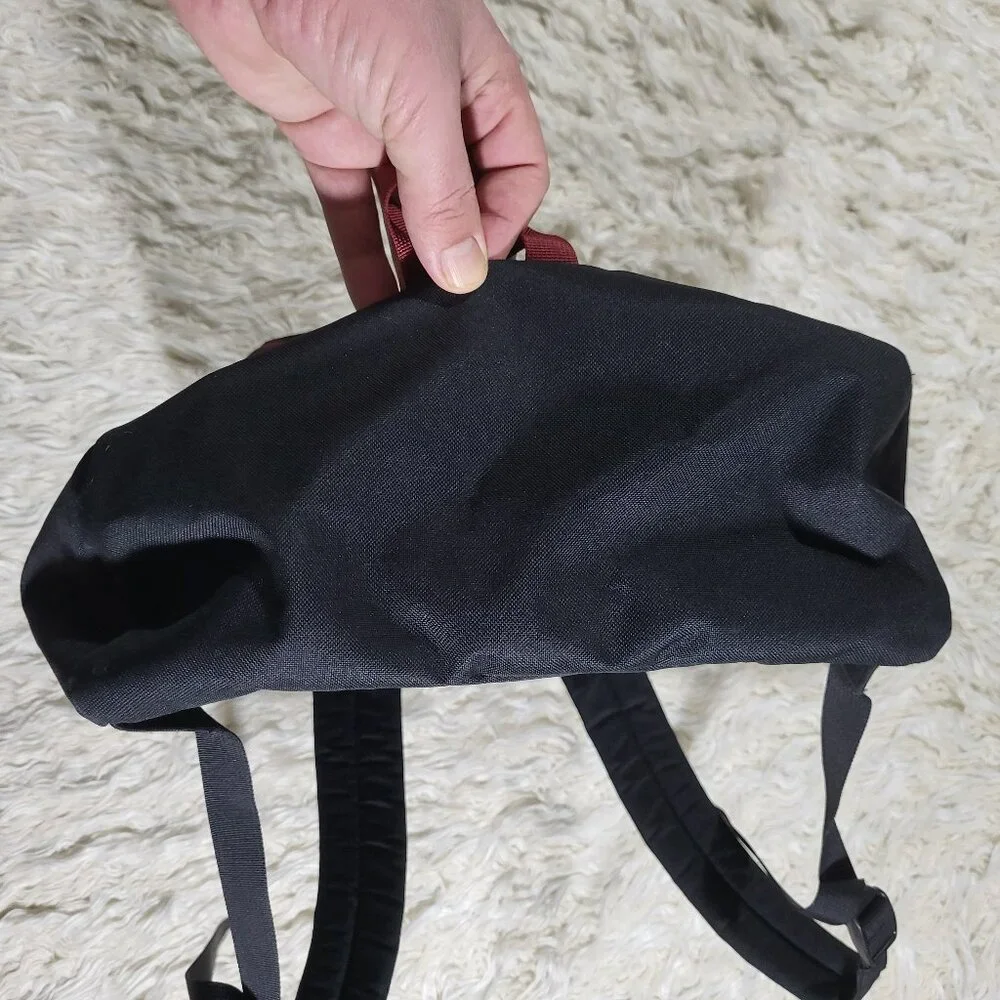 Patagonia * Goose Island Black Backpack Durable Outdoor Design - Picture 7 of 15